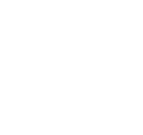 Logo condensé blanc de NUANCES METAL