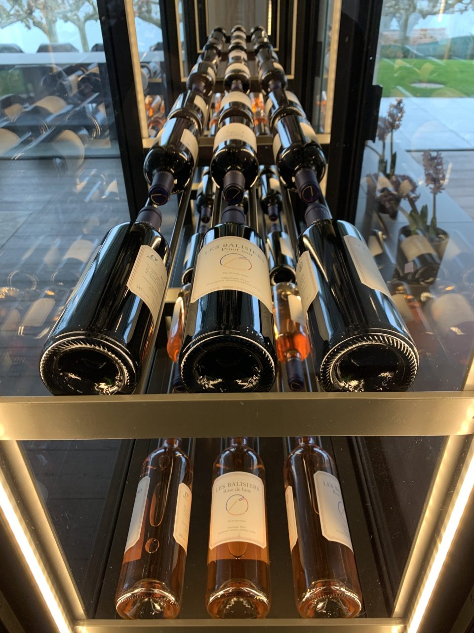 Vins disposés dans une cave à vin