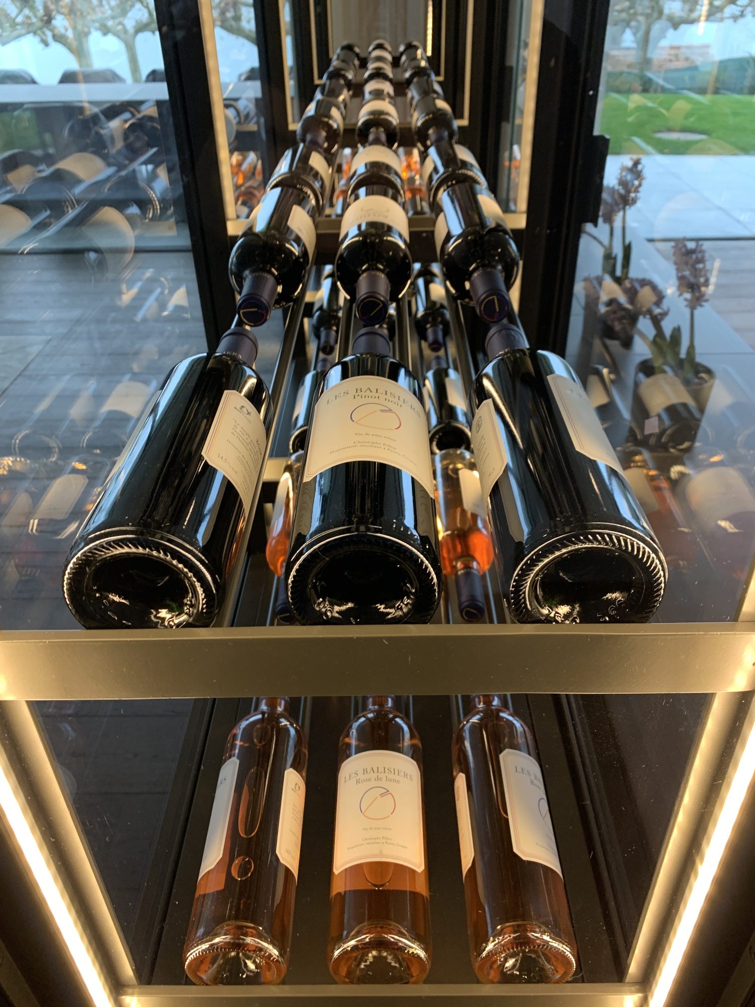 Vins disposés dans une cave à vin
