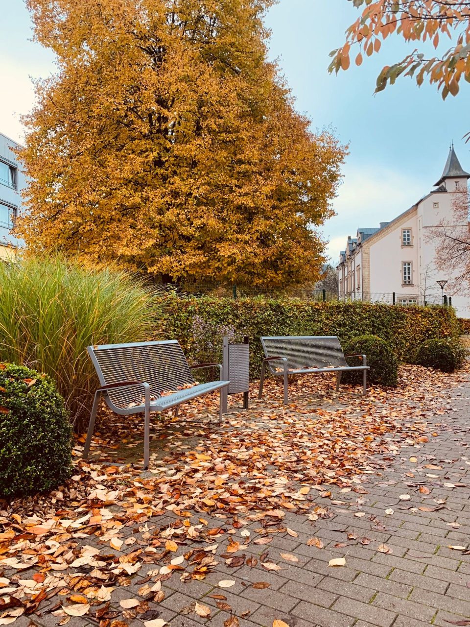 Bancs métalliques gris installés dans un parc