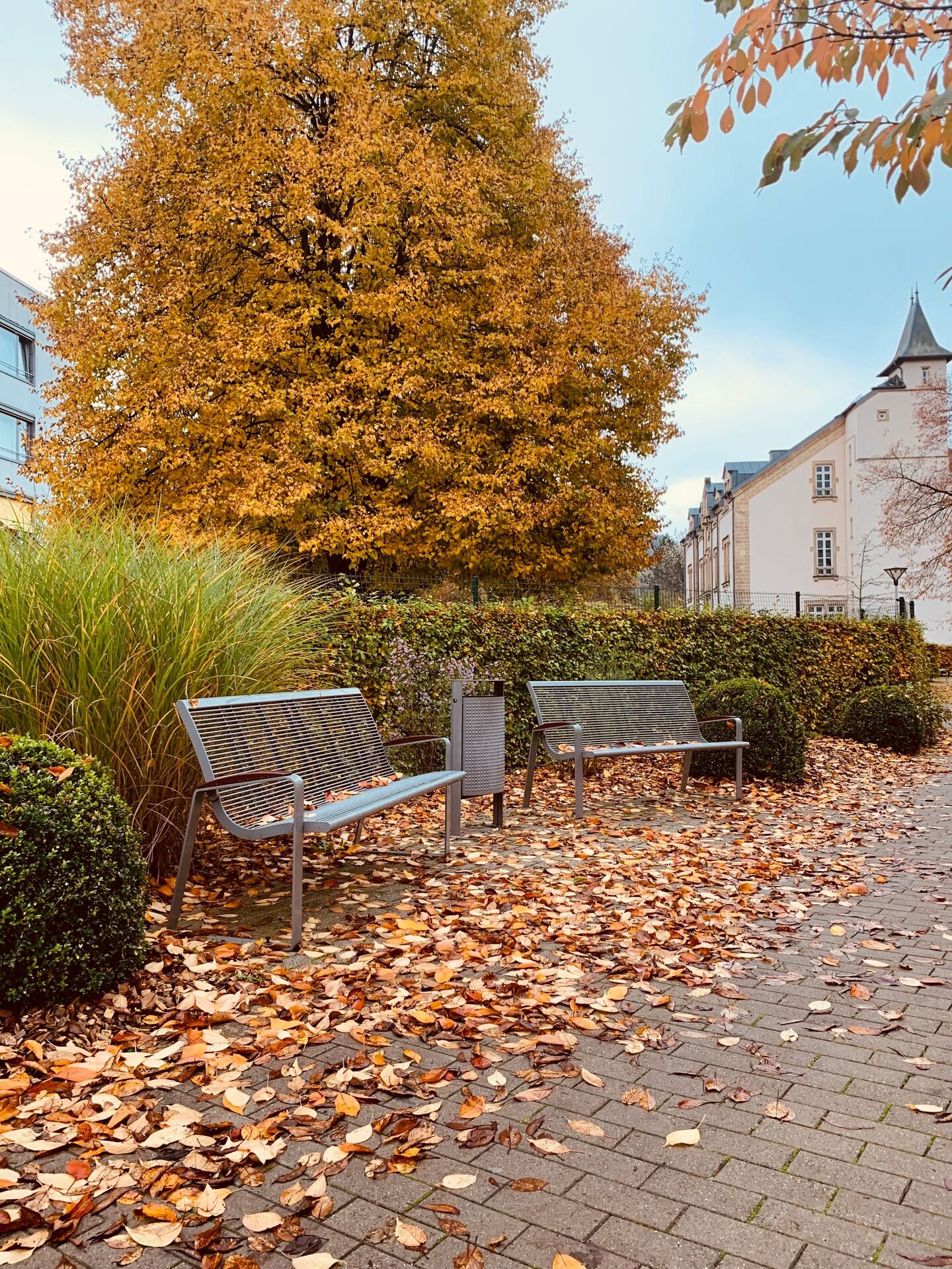 Bancs métalliques gris installés dans un parc